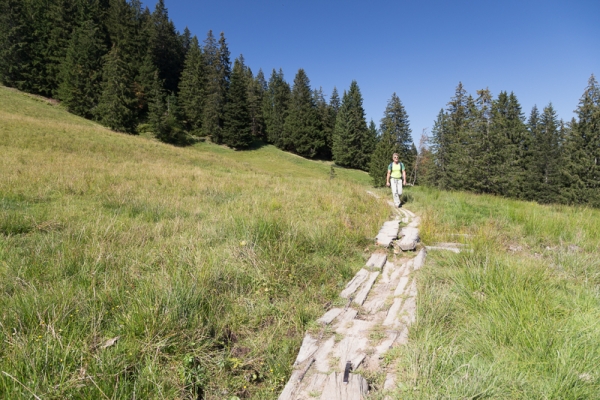 Schwyzer Höhenweg mit Hochstuckli-Variante