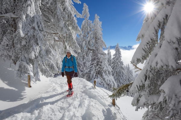 Randonnée en raquettes au Rigi Scheidegg