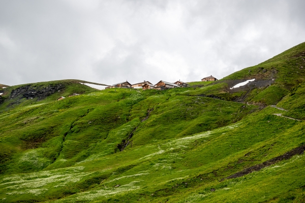 Von Alp zu Alp im Rychenbachtal