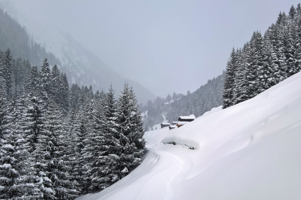 Chemins d’altitude dans la Surselva