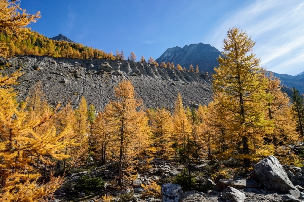 Von Grächen ins Tal des Riedgletschers