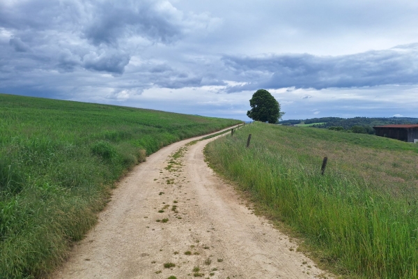 Stille erleben auf dem Jura-Höhenweg in der Ajoie