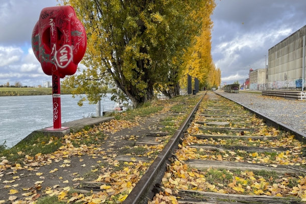 Familienwanderung durch Basel