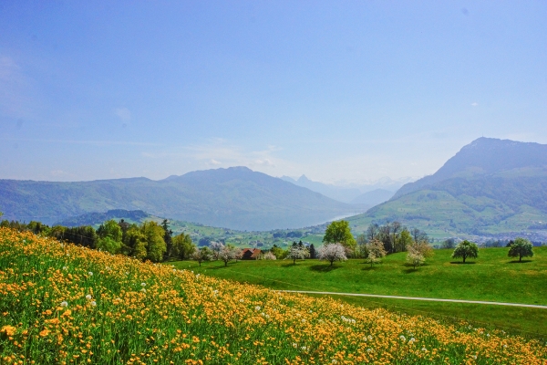 Le canton de Lucerne côté campagne 