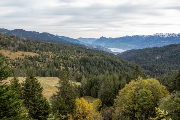 Sites marécageux au col du Glaubenbielen