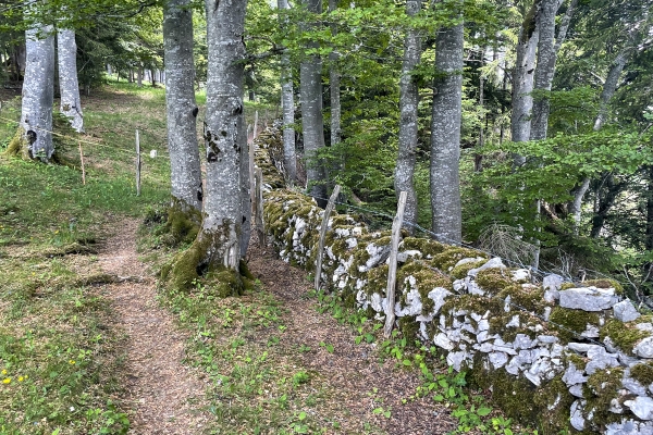 De l’abbaye au Montbautier