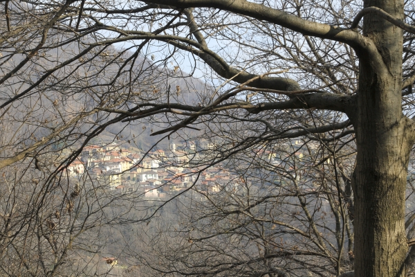 Dans les forêts de l’Alto Malcantone