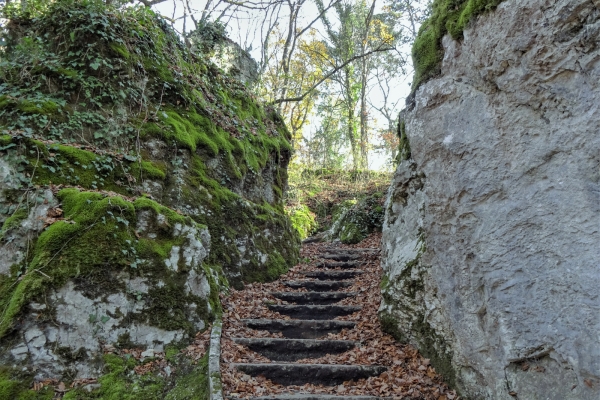 Rund um die Stadt Neuenburg