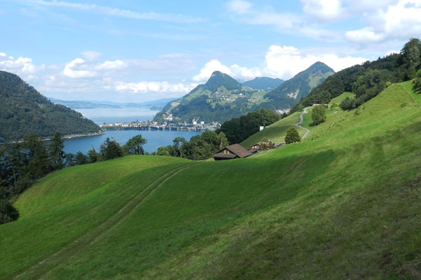 Grosse Vielfalt am Alpnachersee