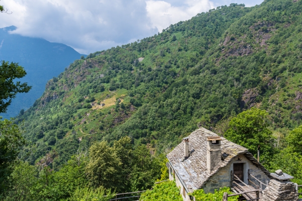 Châtaignes, escaliers et rustici dans le Tessin