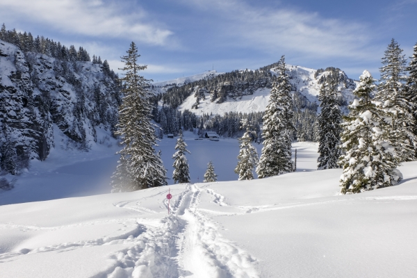 Les Alpes vaudoises en hiver