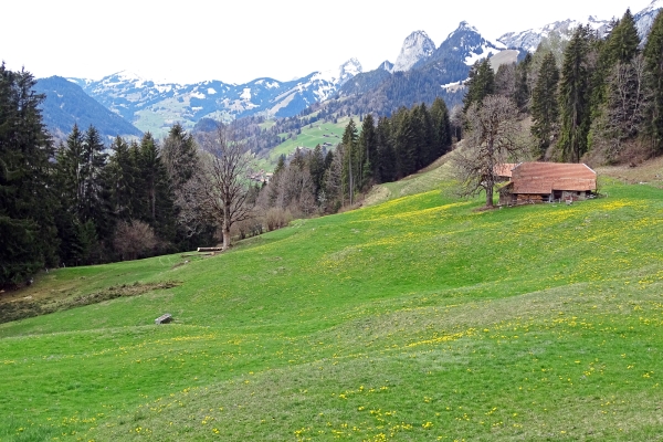 Grottes et bains dans le Simmental