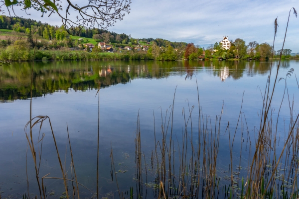 Frühlingsgenuss auf Luzernisch