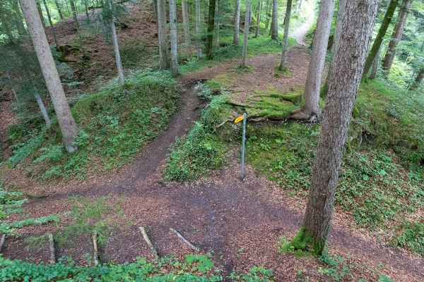 Burgruinen im Toggenburg