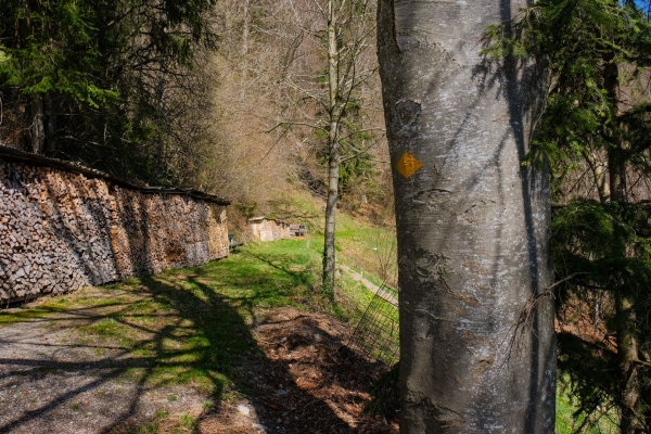 Einheimische Baukultur im Niedersimmental