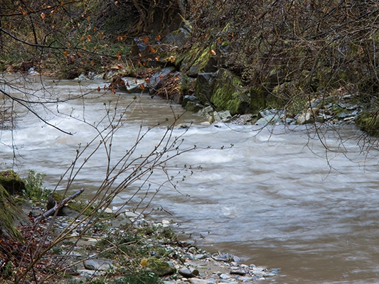 Les gorges sauvages du Gottéron