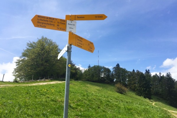 Sur la large crête du Jura