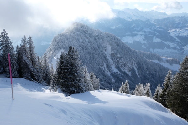 Auf der Rigi Scheidegg