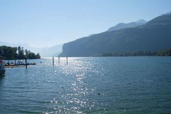 Les rives du Walensee