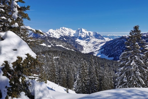 Schneeschuh-Rundwanderung: Amden-Arvenbüel ins Gebiet Vorder Höhi-Flügenspitz