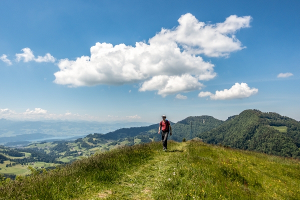 Par monts et vallées dans le Tössbergland 