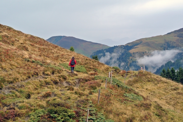 Le chemin des Walser de la vallée de Safien