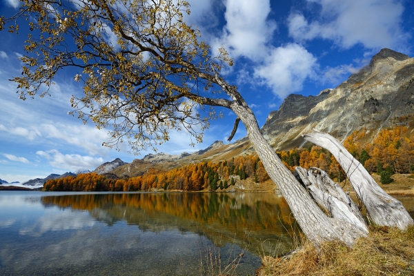 Herbstwanderung im Oberengadin