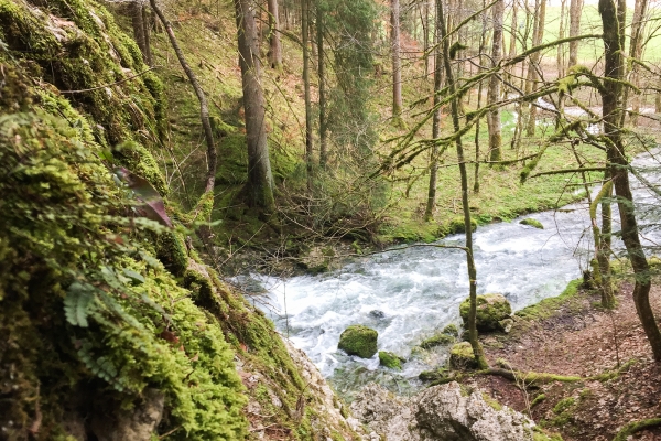 Grotte du Val-de-Travers