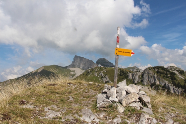 Al sole, sopra la valle del Rodano