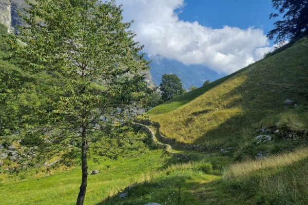 Vom Grenzdorf am Simplon in die wilde Natur