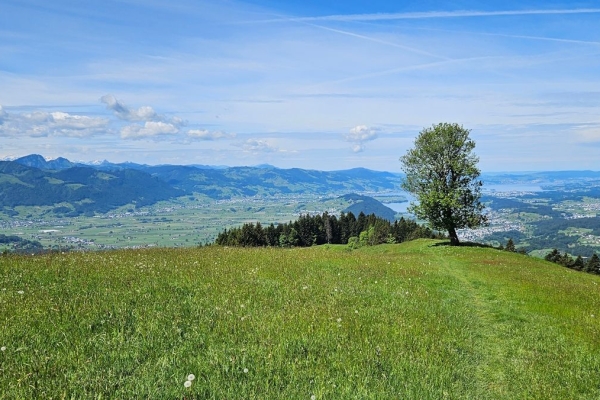 Kraft und Zufluchtsort Regelstein