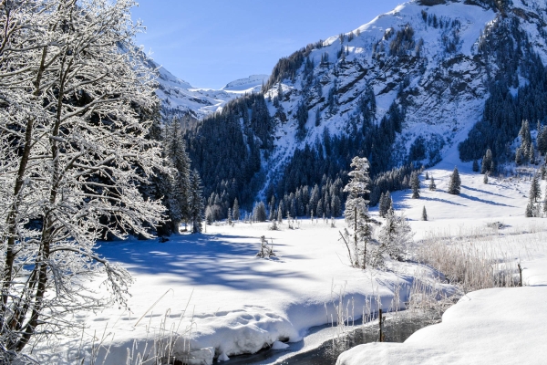 Winterzauber im Saanenland