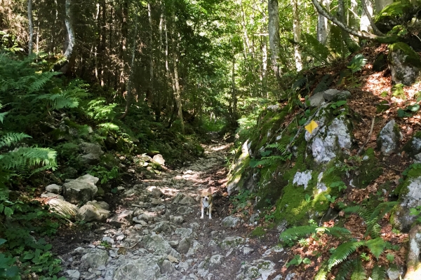 Baignade et col de Windenpass