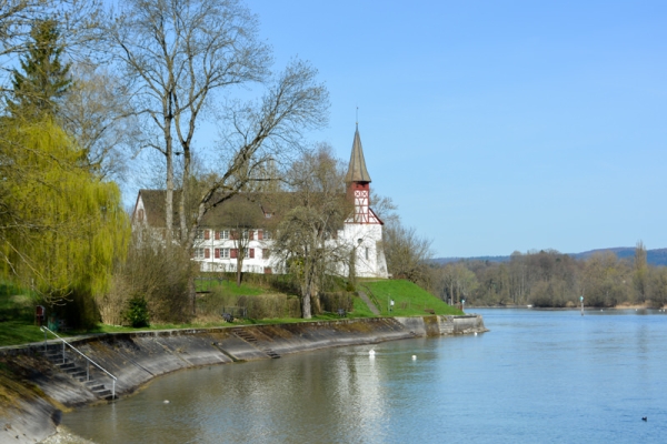 Frühlingswanderung am Hochrhein 