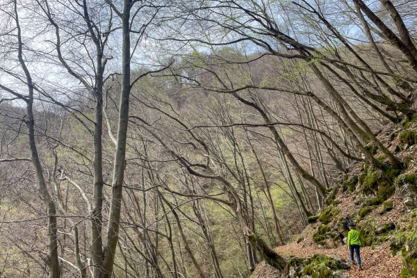 Den Frühling besuchen am Monte Generoso