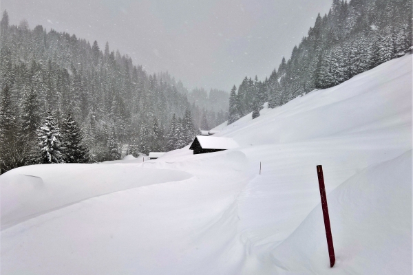 Chemins d’altitude dans la Surselva