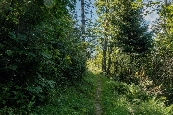 L’étonnante vallée de Mülebachtal GL