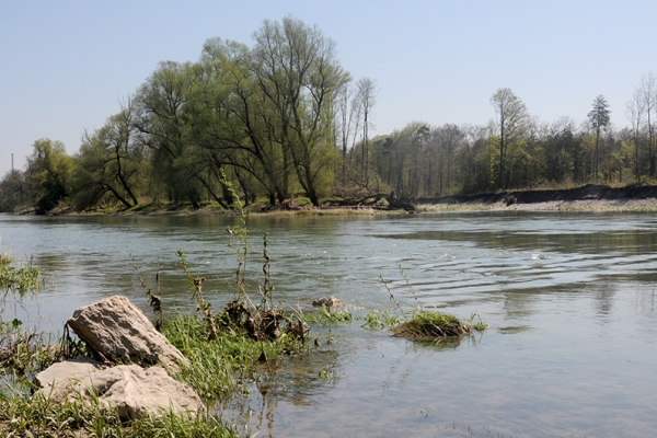 In der Wildnis nahe Aarau