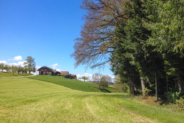 Hinauf in die Sonnenstube im Napfgebiet