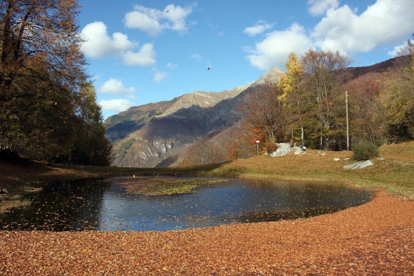 Su e giù par la Val Cazza