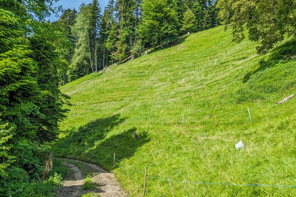 Gemütliche Wanderung am Rande des Emmentals