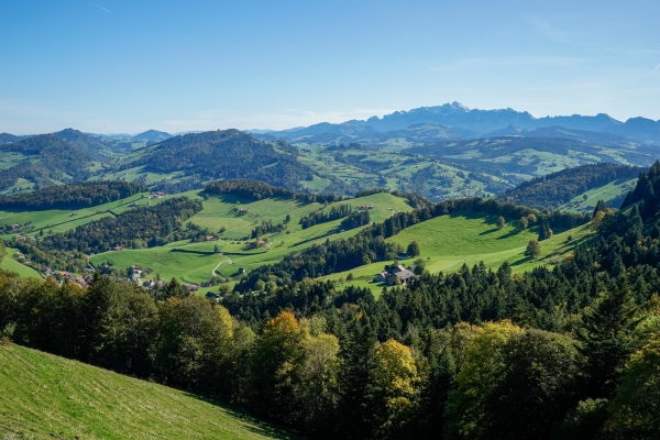 In den St. Galler Ausläufern des Tössberglandes