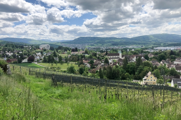 Drei-Burgen-Wanderung im Dorneck