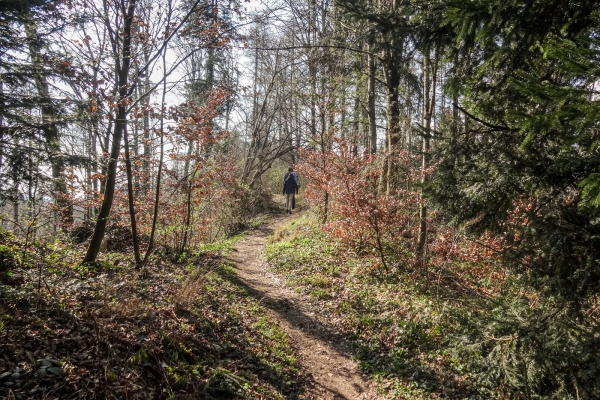 Mit dem Bielersee im Rücken