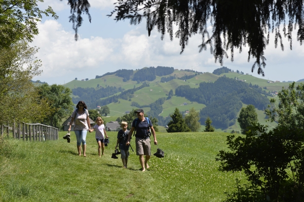 Kutschenplausch und Barfussweg am Kronberg