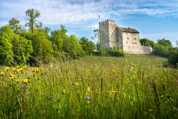 Sur la trace des Romains en Argovie