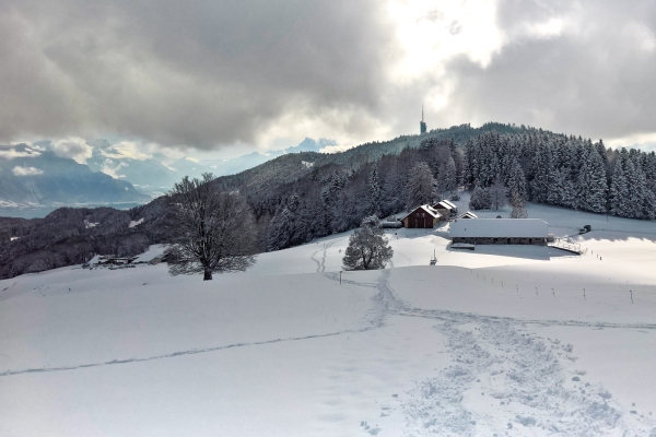 Schneeschuhtour am Mont Pèlerin