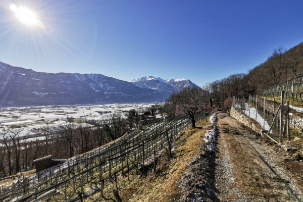 La région de Bellinzone côté soleil