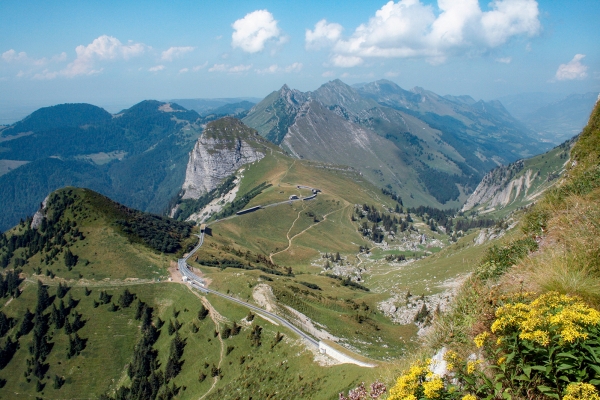 Une arête face au Léman