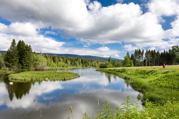 An den Ufern des Lac de Joux